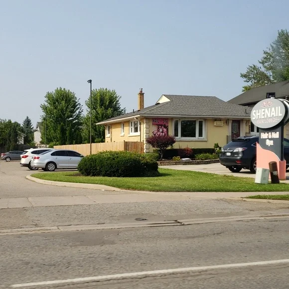 Da tree 🌳 📜 😊 😃 😺 😄 ☺ 😹 😊 😃 😺 😄 ☺ 😹 😊 😃 😺 😄 ☺ 😹 😹 - Picture 3 of 8